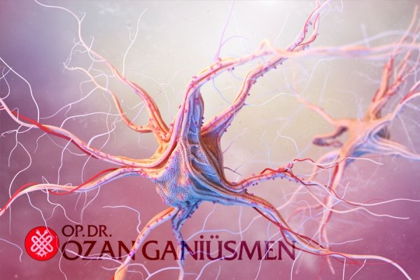 Sara Hastalığı (Epilepsi)